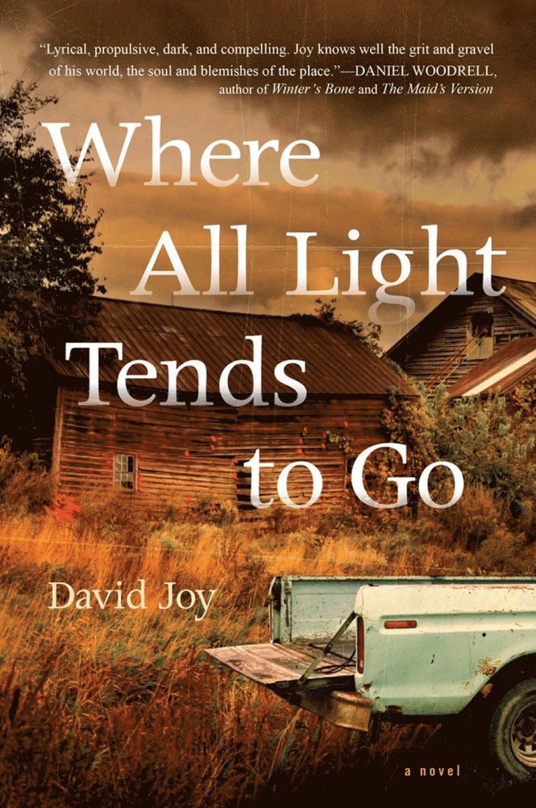 David Joy - Where All Light Tends To Go, Inbunden