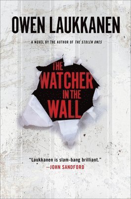 The Watcher in the Wall 1