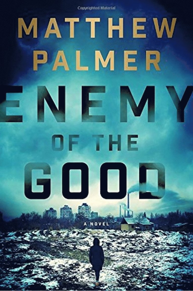 Matthew Palmer - Enemy of the Good, Inbunden