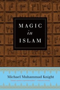 bokomslag Magic in Islam