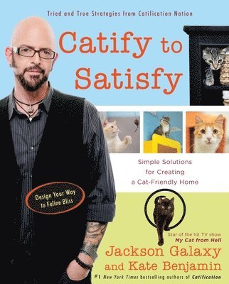 Catify to Satisfy 1