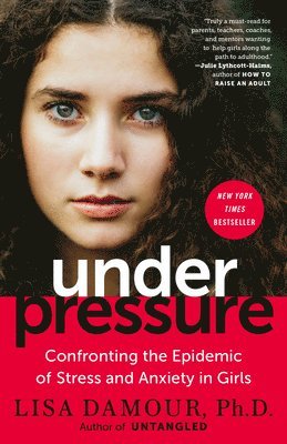 bokomslag Under Pressure