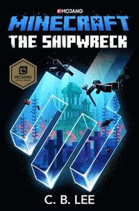 bokomslag Minecraft: The Shipwreck