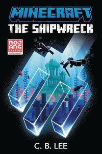 bokomslag Minecraft: The Shipwreck