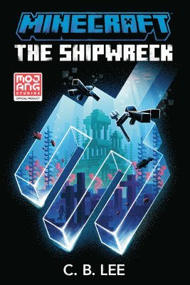 bokomslag Minecraft: The Shipwreck: An Official Minecraft Novel