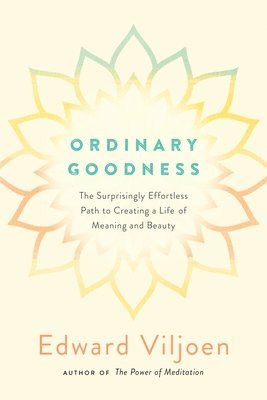 Edward Viljoen - Ordinary Goodness, Häftad