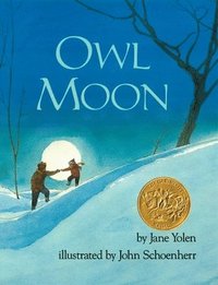 bokomslag Owl Moon