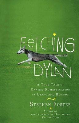 bokomslag Fetching Dylan: A True Tale of Canine Domestication in Leaps and Bounds