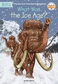 bokomslag What Was the Ice Age?