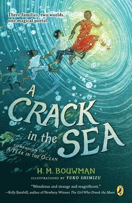H. M. Bouwman - A Crack in the Sea, Häftad