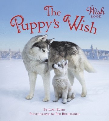 The Puppy's Wish 1