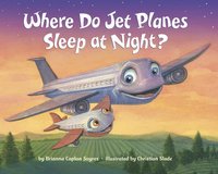 bokomslag Where Do Jet Planes Sleep at Night?