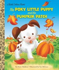 bokomslag Poky Little Puppy and the Pumpkin Patch