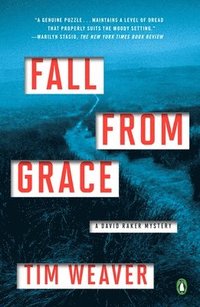 bokomslag Fall from Grace: A David Raker Mystery