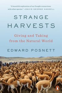 bokomslag Strange Harvests