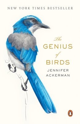 bokomslag The Genius of Birds