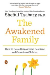 bokomslag Awakened Family