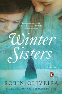 bokomslag Winter Sisters