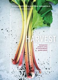 bokomslag Harvest