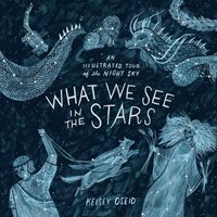 bokomslag What We See in the Stars: An Illustrated Tour of the Night Sky