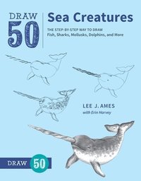 bokomslag Draw 50 Sea Creatures