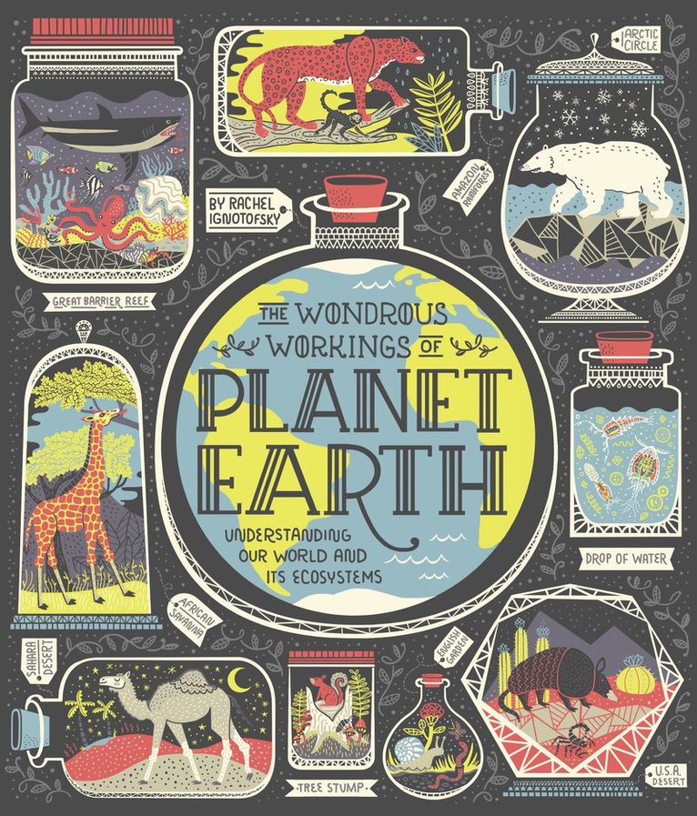 Rachel Ignotofsky - Wondrous Workings of Planet Earth, Inbunden