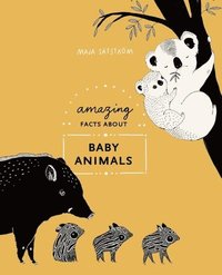 bokomslag Amazing Facts About Baby Animals