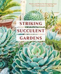 bokomslag Striking Succulent Gardens: A Gardening Book