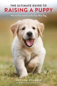 bokomslag Ultimate Guide To Raising A Puppy