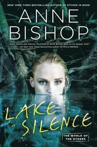 bokomslag Lake Silence