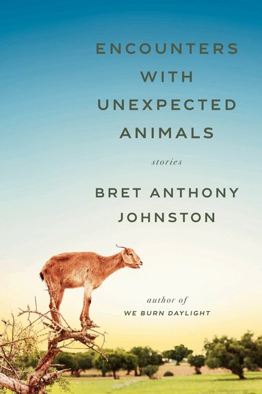 Bret Anthony Johnston - Encounters with Unexpected Animals, Inbunden