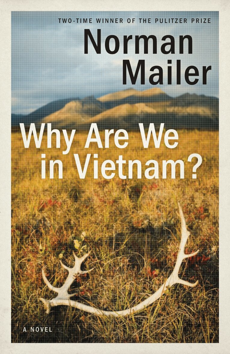 Norman Mailer - Why Are We in Vietnam?, Häftad