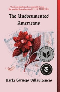 bokomslag The Undocumented Americans