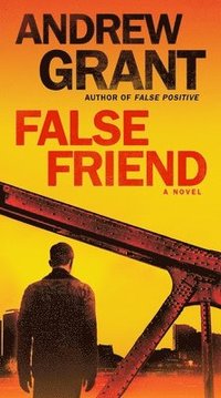 bokomslag False Friend