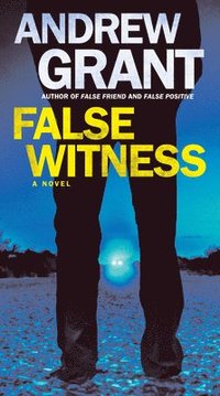 bokomslag False Witness