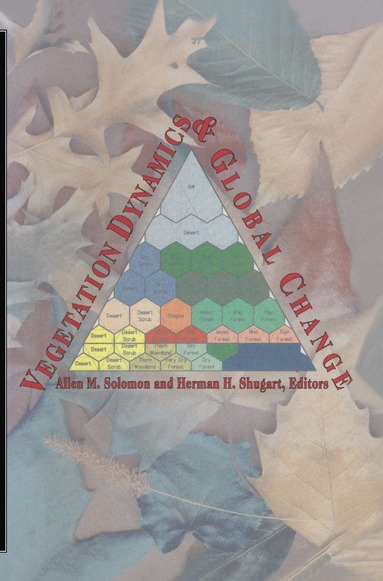 bokomslag Vegetation Dynamics And Global Change