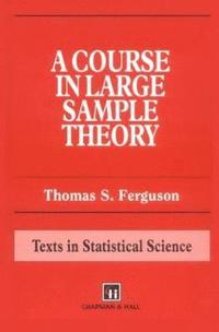 bokomslag A Course in Large Sample Theory