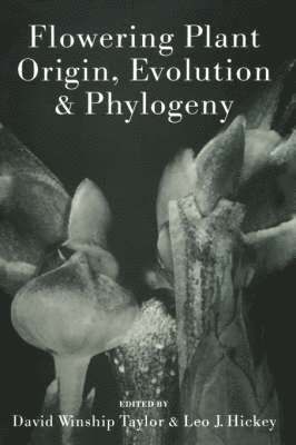 Flowering Plant Origin, Evolution & Phylogeny 1