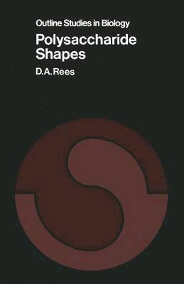 bokomslag Polysaccharide Shapes