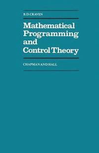 bokomslag Mathematical Programming and Control Theory