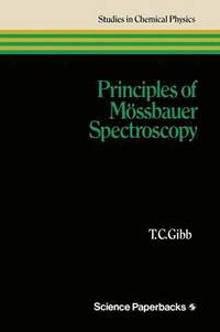 bokomslag Principles of Mssbauer Spectroscopy