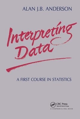bokomslag Interpreting Data