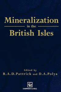 bokomslag Mineralization in the British Isles
