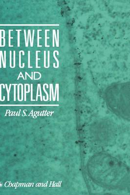 Between Nucleus and Cytoplasm