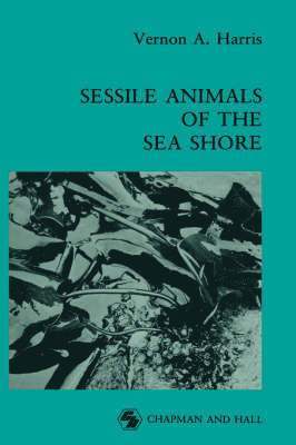 Vernon Haris - Sessile Animals of the Sea Shore, Inbunden