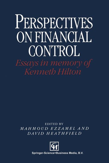 bokomslag Perspectives on Financial Control: Essays in Memory of Kenneth Hilton
