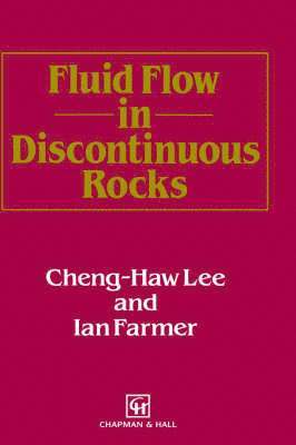 bokomslag Fluid Flow in Discontinuous Rocks