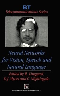 bokomslag Neural Networks for Vision, Speech and Natural Language