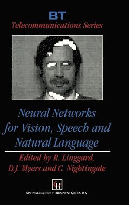 Neural Networks for Vision, Speech and Natural Language 1