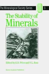 bokomslag The Stability of Minerals